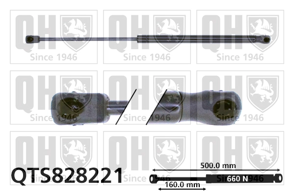 QTS828221