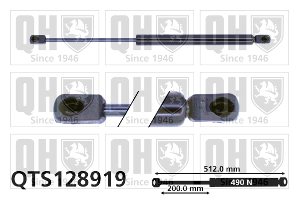 QTS128919