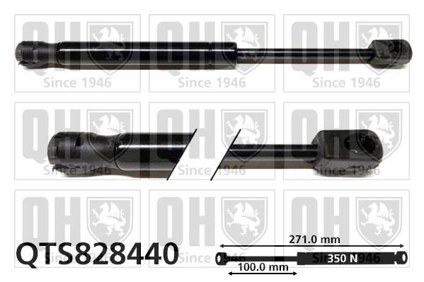 QTS828440