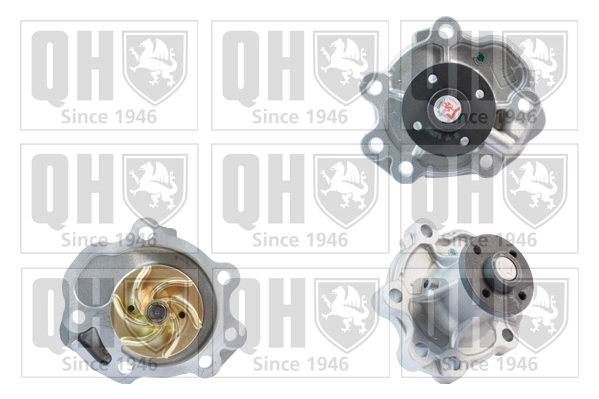 QCP3704