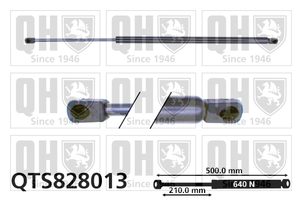 QTS828013