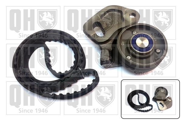 QBK313