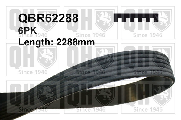 QBR62288