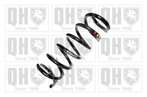 QCS6065