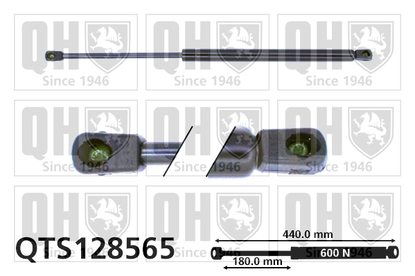 QTS128565