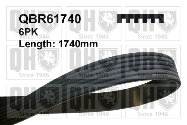 QBR61740