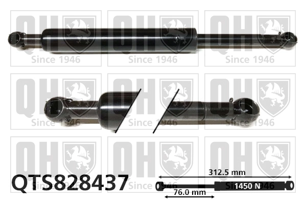 QTS828437