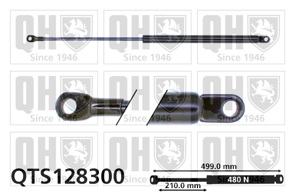 QTS128300