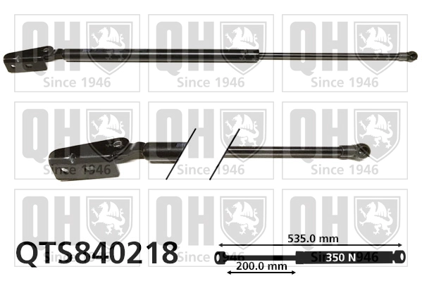 QTS840218
