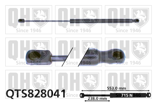 QTS828041