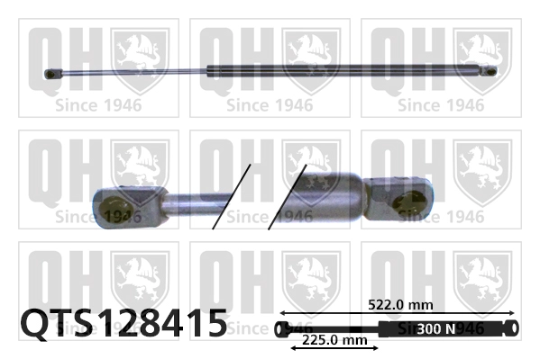 QTS128415