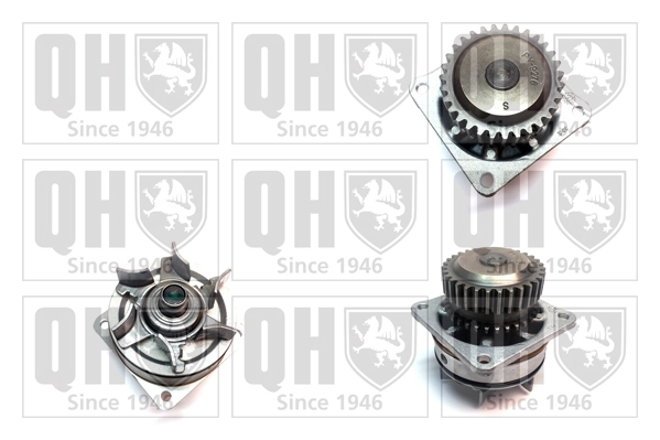 QCP3689