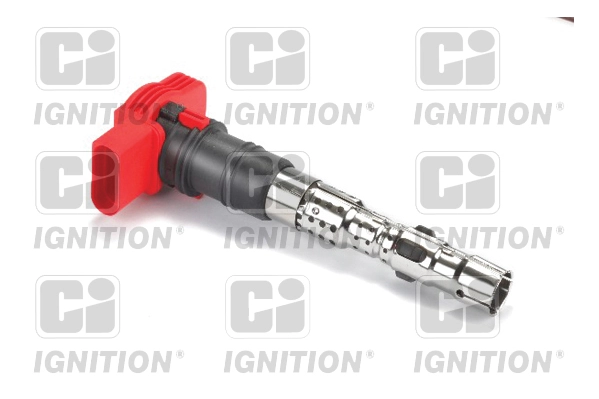 XIC8404