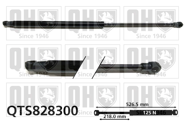 QTS828300