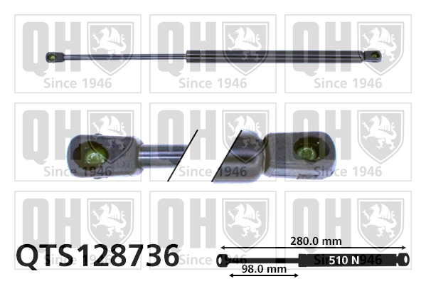 QTS128736