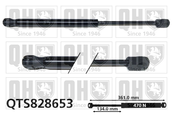 QTS828653