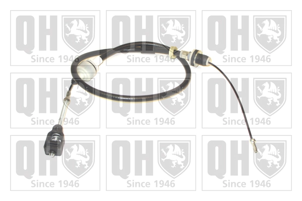 QCC1893