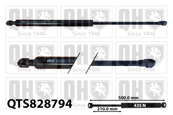 QTS828794