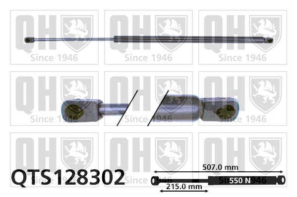 QTS128302