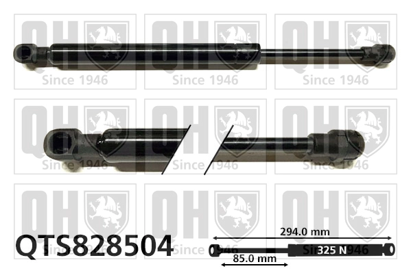 QTS828504