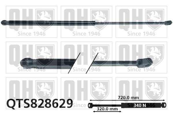 QTS828629