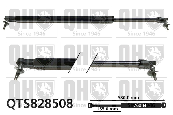 QTS828508