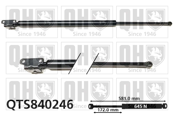 QTS840246