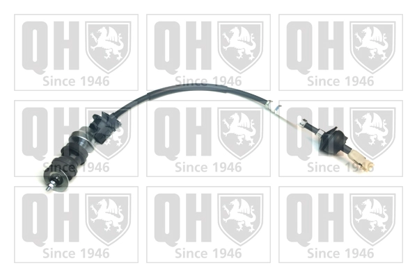 QCC1831