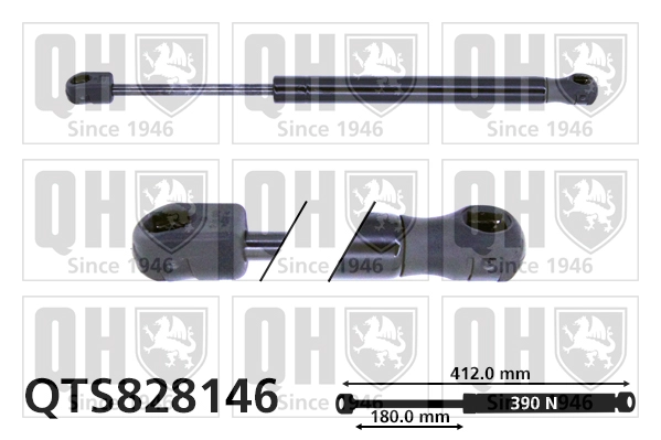 QTS828146