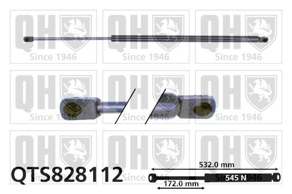 QTS828112
