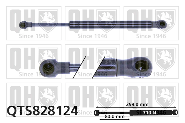 QTS828124