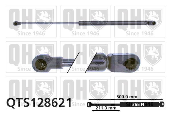 QTS128621