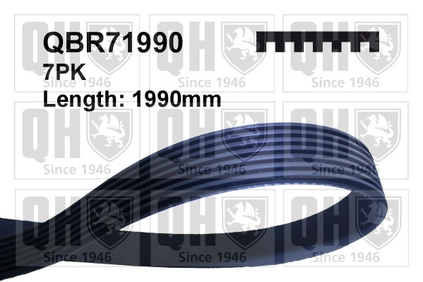 QBR71990