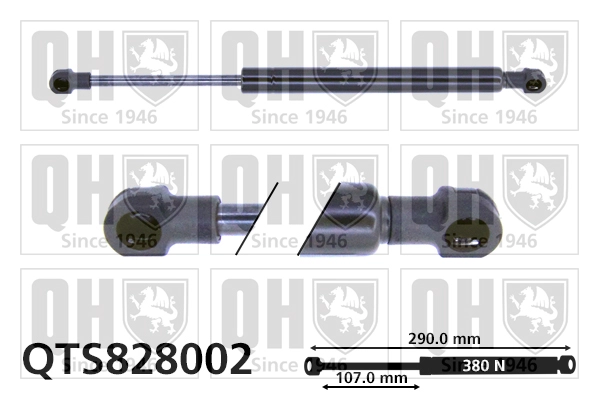 QTS828002