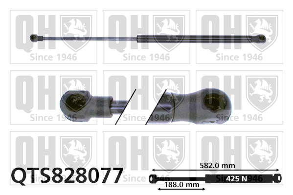 QTS828077