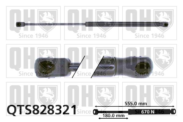 QTS828321