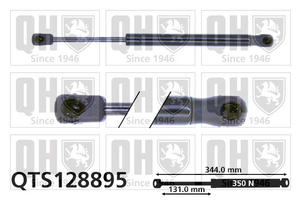 QTS128895