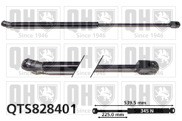 QTS828401