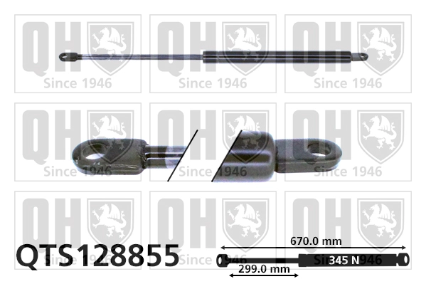 QTS128855