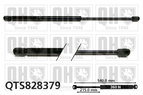 QTS828379