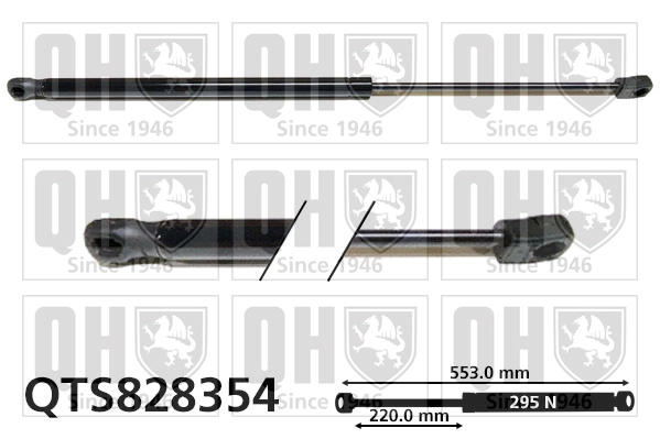 QTS828354