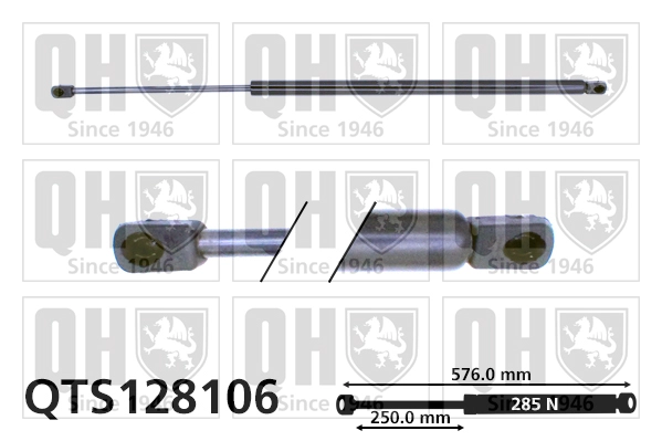 QTS128106