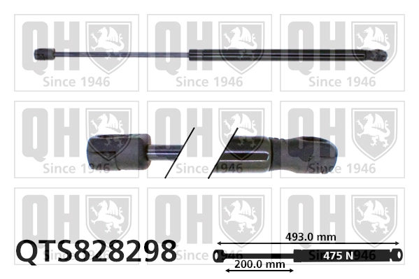 QTS828298