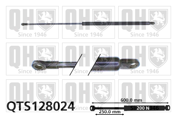 QTS128024