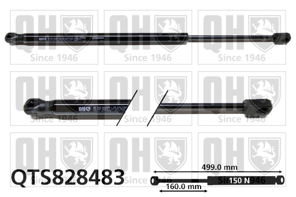 QTS828483