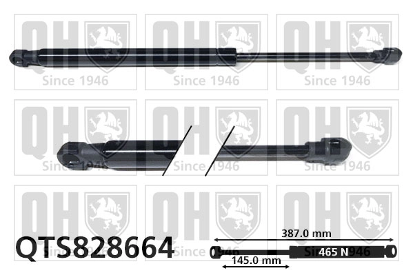 QTS828664