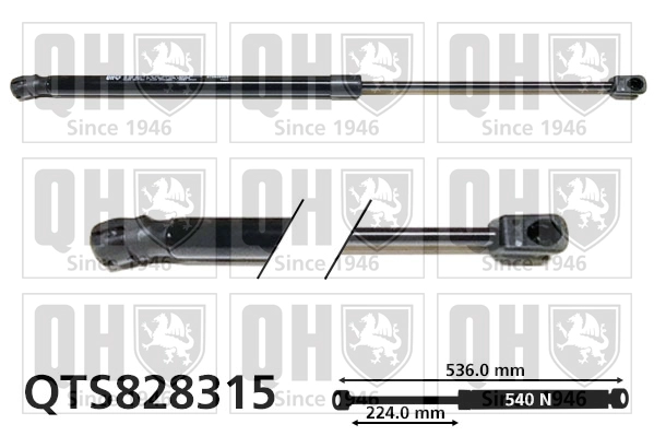 QTS828315