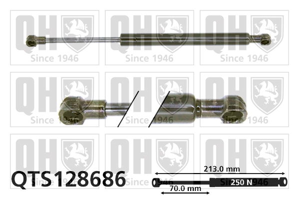 QTS128686
