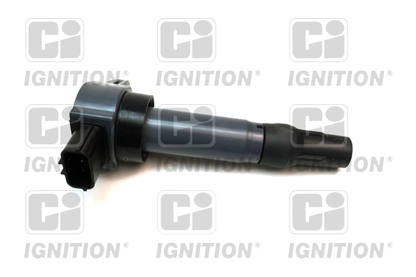 XIC8440