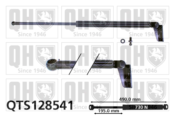 QTS128541